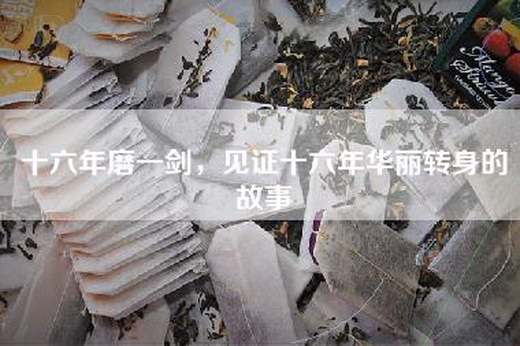 十六年磨一剑，见证十六年华丽转身的故事