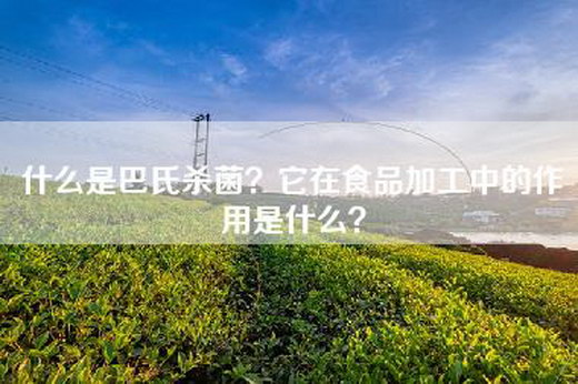 什么是巴氏杀菌？它在食品加工中的作用是什么？