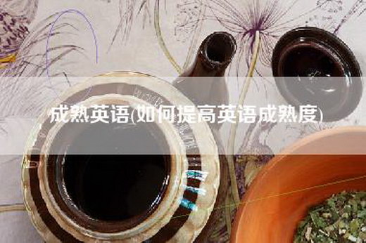 成熟英语(如何提高英语成熟度)