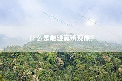 什么是雌雄莫辨现象？