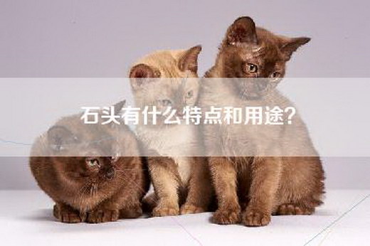 石头有什么特点和用途？