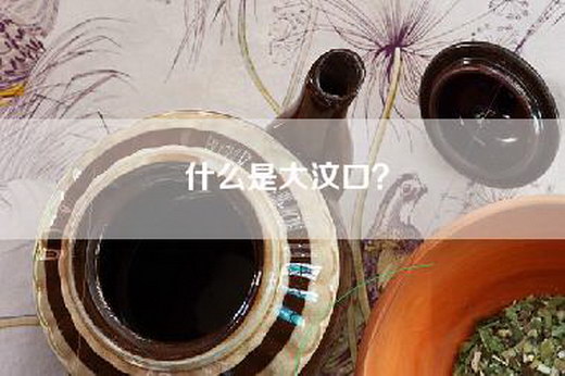 什么是大汶口？