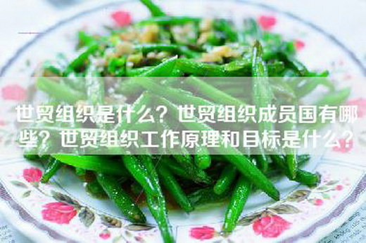 世贸组织是什么？世贸组织成员国有哪些？世贸组织工作原理和目标是什么？