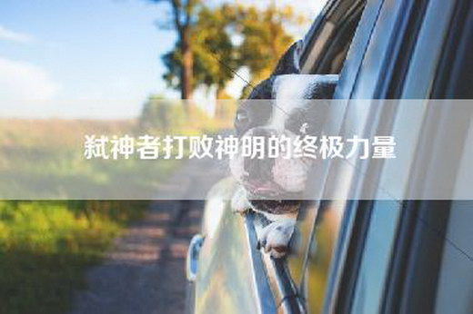 弑神者打败神明的终极力量