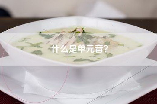 什么是单元音？
