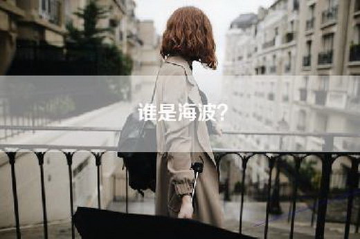 谁是海波？