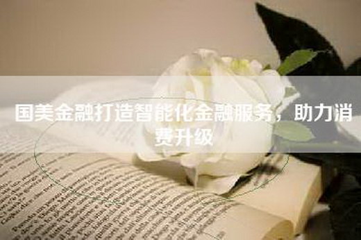 国美金融打造智能化金融服务，助力消费升级