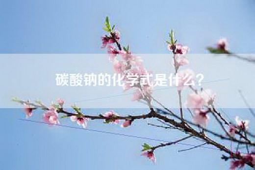 碳酸钠的化学式是什么？