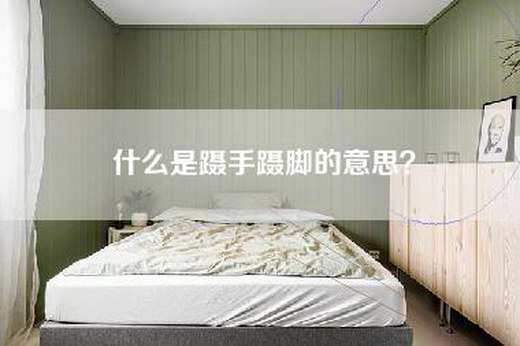 什么是蹑手蹑脚的意思？