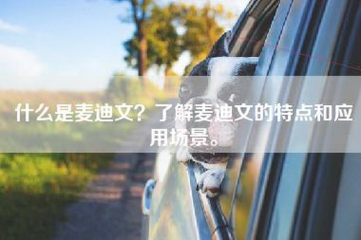 什么是麦迪文？了解麦迪文的特点和应用场景。