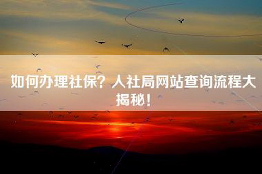 如何办理社保？人社局网站查询流程大揭秘！