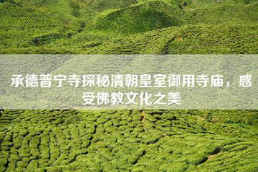 承德普宁寺探秘清朝皇室御用寺庙，感受佛教文化之美