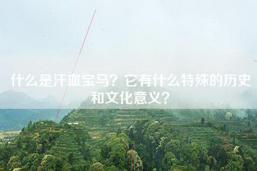 什么是汗血宝马？它有什么特殊的历史和文化意义？