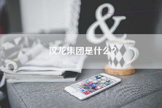 汉龙集团是什么？
