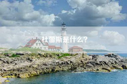 杜蕾斯是什么？