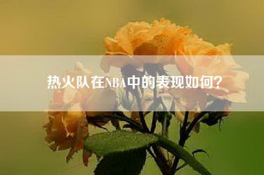 热火队在NBA中的表现如何？