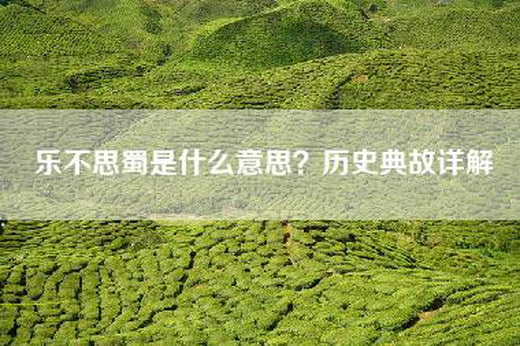 乐不思蜀是什么意思？历史典故详解