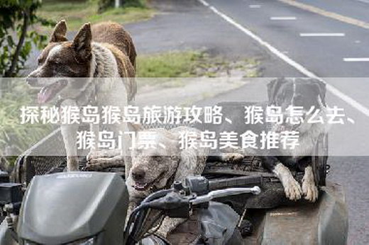 探秘猴岛猴岛旅游攻略、猴岛怎么去、猴岛门票、猴岛美食推荐