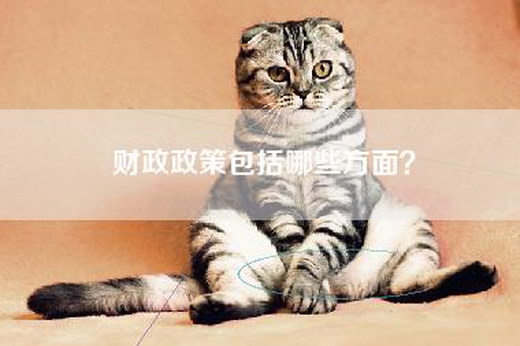 财政政策包括哪些方面？