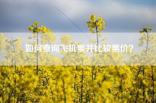 如何查询飞机票并比较票价？