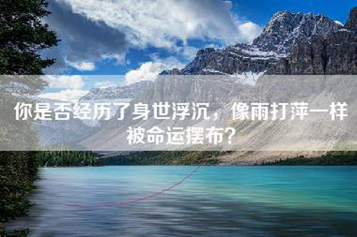 你是否经历了身世浮沉，像雨打萍一样被命运摆布？