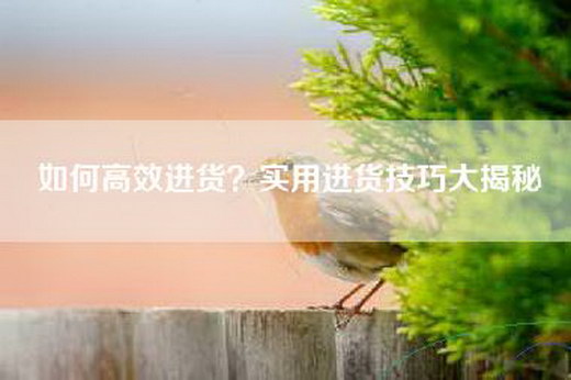 如何高效进货？实用进货技巧大揭秘