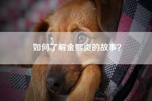 如何了解金熙贞的故事？