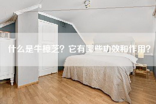 什么是牛樟芝？它有哪些功效和作用？