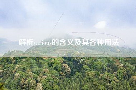 解析various的含义及其各种用法