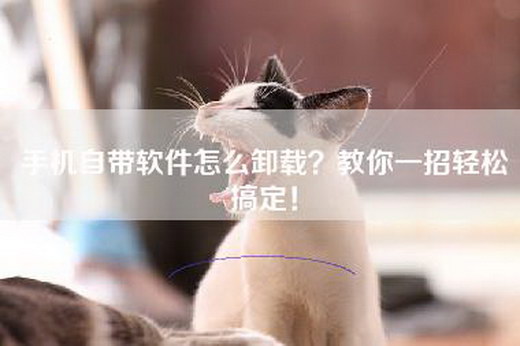 手机自带软件怎么卸载？教你一招轻松搞定！