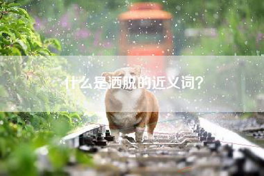 什么是洒脱的近义词？
