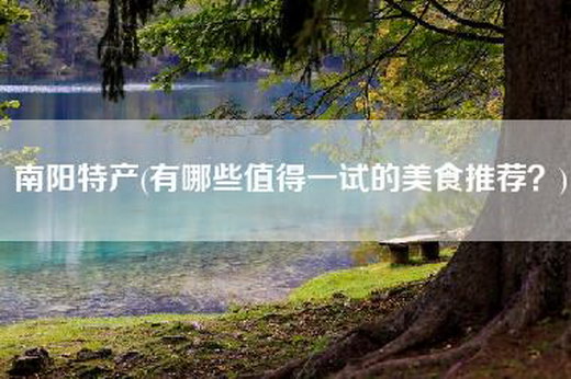 南阳特产(有哪些值得一试的美食推荐？)