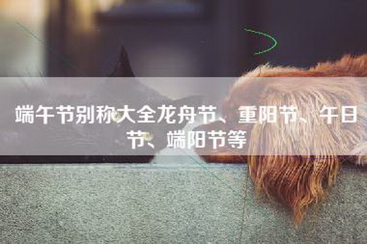 端午节别称大全龙舟节、重阳节、午日节、端阳节等