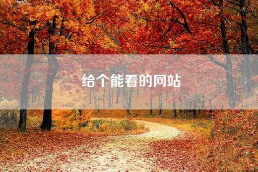 给个能看的网站