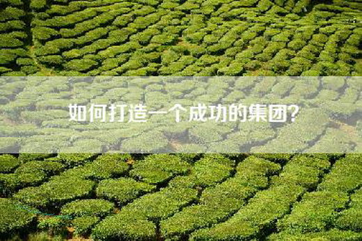 如何打造一个成功的集团？