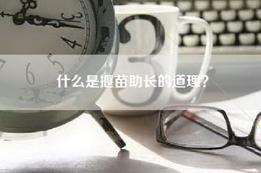 什么是揠苗助长的道理？