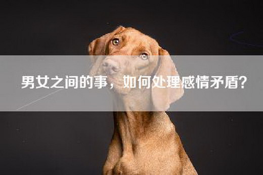 男女之间的事，如何处理感情矛盾？