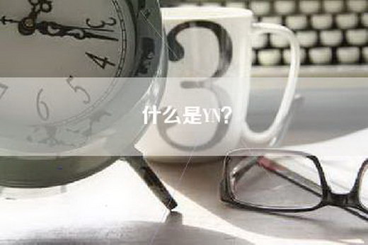 什么是YN？
