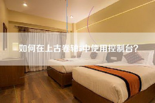 如何在上古卷轴5中使用控制台？