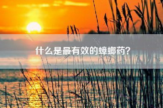 什么是最有效的蟑螂药？