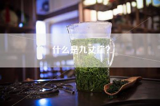 什么是九丈崖？