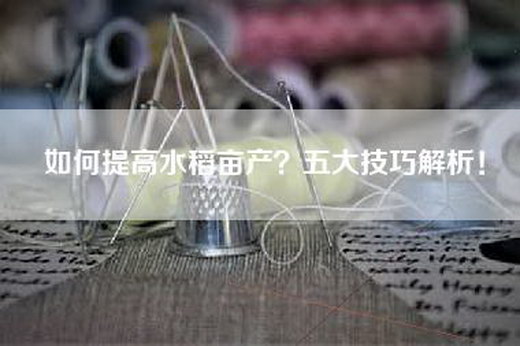 如何提高水稻亩产？五大技巧解析！
