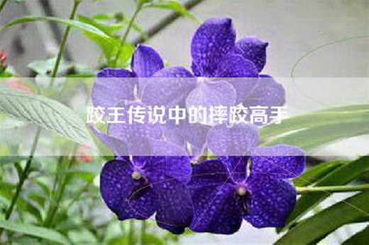 跤王传说中的摔跤高手