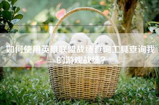 如何使用英雄联盟战绩查询工具查询我的游戏战绩？