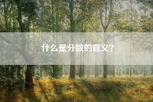 什么是分数的意义？