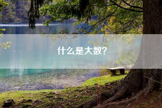 什么是大数？