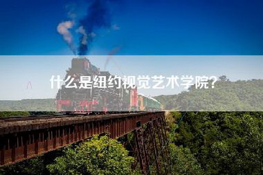 什么是纽约视觉艺术学院？