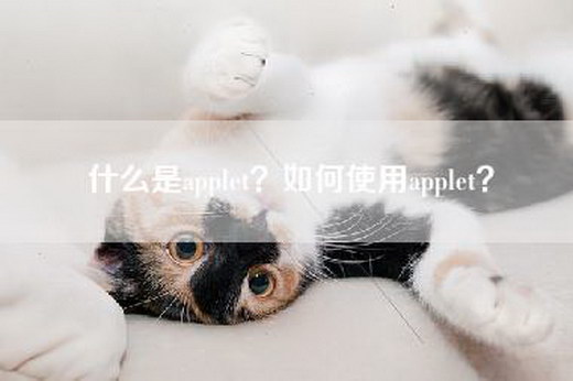 什么是applet？如何使用applet？