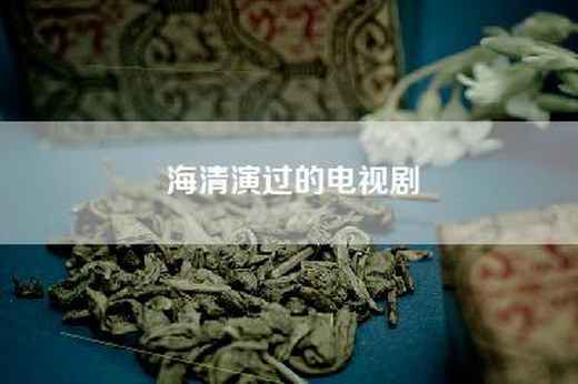 海清演过的电视剧