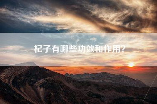 杞子有哪些功效和作用？
